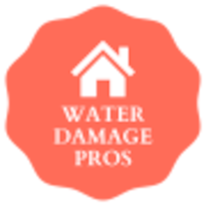 orange water damage pros logo